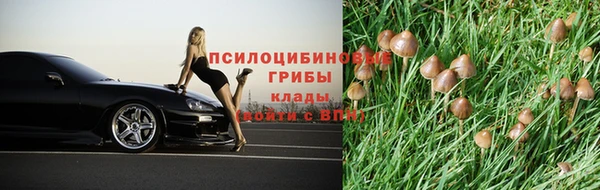 соль курить ск Алексеевка