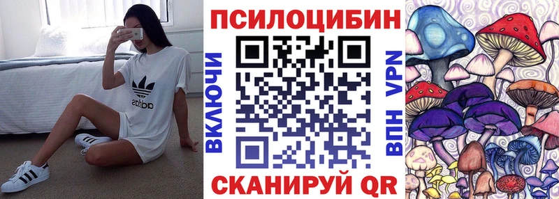 Псилоцибиновые грибы GOLDEN TEACHER  Гуково 
